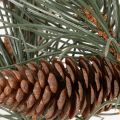 Branche de pin artificielle avec pommes de pin, 93 cm | Floristik24.fr