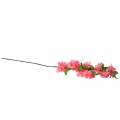 Floristik24 Branche de fleur de cerisier artificielle rose 103cm