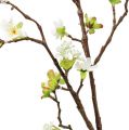 Floristik24 Branche de fleurs de cerisier blanc 95cm