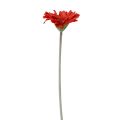 Floristik24 Fleurs artificielles Gerbera Rouge 45cm