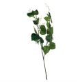 Floristik24 Décoration de vin artificiel plantes artificielles branches vertes L78cm
