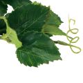 Floristik24 Décoration de vin artificiel plantes artificielles branches vertes L78cm