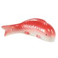 Floristik24 Koi poisson décoratif céramique rouge blanc flottant 15cm 3pcs