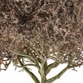 Floristik24 Branche de corail plantes artificielles givrées décoration hivernale Ø23cm