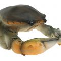 Floristik24 Crabe et homard déco 11cm - 15cm