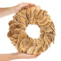 Couronne en champignons de bois naturels 37 cm pour décoration murale ou de porte | Floristik24.fr