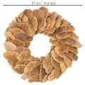 Couronne en champignons de bois naturels 37 cm pour décoration murale ou de porte | Floristik24.fr