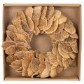 Couronne en champignons de