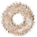 Couronne en champignon naturel