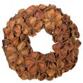 Floristik24 Couronne décorative en lotus séché 35 cm, marron