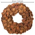 Couronne décorative en lotus séché 35 cm, marron | Floristik24.fr