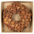 Couronne décorative en lotus