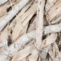 Grande couronne en bois blanchie 40 cm pour décoration | Floristik24.fr