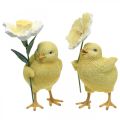 Joyeuses Pâques poussins, poussins avec fleurs, décorations de table Pâques, poussins décoratifs H11/11.5cm, lot de 2