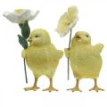 Joyeuses Pâques poussins, poussins avec fleurs, décorations de table Pâques, poussins décoratifs H11/11.5cm, lot de 2