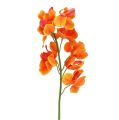 Floristik24 Orchidée artificielle Mokara Orange 50cm 6pcs