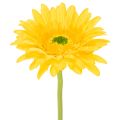 Floristik24 Fleurs artificielles Gerbera jaune soleil 47 cm - Lot de 6