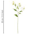 Kunststoff Gloriosa artificielle blanche et jaune 80 cm set de 3 | Floristik24.fr