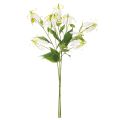 Kunststoff Gloriosa