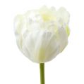 Floristik24 Tulipes artificielles en blanc et vert 86cm 3P