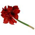 Amaryllis Artificielle Fleurs de Noël Fleurs Artificielles Rouges L40cm