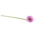 Floristik24 Fleurs artificielles Gerbera violet 47cm