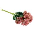 Floristik24 Poule grasse artificielle Sedum Stonecrop floraison rose 47cm 3pcs