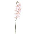 Floristik24 Orchidée artificielle Phalaenopsis rose Real Touch 58cm