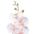 Floristik24 Orchidée artificielle Phalaenopsis rose Real Touch 83cm