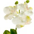 Floristik24 Orchidées artificielles Fleur artificielle orchidée blanche 20cm