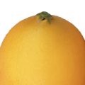 Floristik24 Sucettes alimentaires décoratives citron artificiel orange 8,5cm