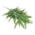 Floristik24 Fougère artificielle plante artificielle feuilles de fougère vert 44cm