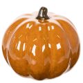 Citrouille décorative en