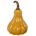 Citrouille décorative en