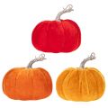 Ensemble de citrouilles en