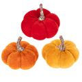 Floristik24 Set de citrouilles décoratives en velours 5 cm, 3 couleurs, lot de 12 pièces