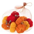 Set de citrouilles décoratives