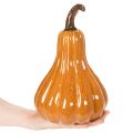 Citrouille décorative en céramique orange 26 cm | Floristik24.fr