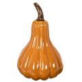Citrouille décorative en