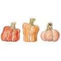 Floristik24 Ensemble de citrouilles : Petites citrouilles décoratives pour la décoration d'automne, 5 cm, lot de 3