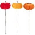 Décoration citrouilles en