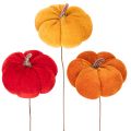 Décoration citrouilles en