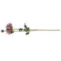 Floristik24 Fleur artificielle Dahlia Violet soie fleur et bourgeon H57cm