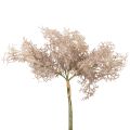 Décoration fleurs artificielles, branche de corail, branches décoratives blanc marron 40cm 4pcs