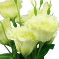 Floristik24 Fleurs artificielles Eustoma Lisianthus jaune vert 52cm 5pcs