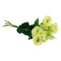 Floristik24 Fleurs artificielles Eustoma Lisianthus jaune vert 52cm 5pcs