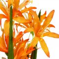 Floristik24 Fleurs artificielles Nerine Orange Lys de Guernesey Fleurs d&#39;Automne 48cm