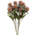 Floristik24 Plantes artificielles carthame chardon branche chardon rose 4pcs