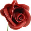 Roses artificielles Bordeaux roses en cire roses décoratives en cire Ø6cm 18 pcs | Floristik24.fr
