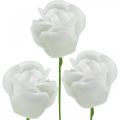 Floristik24 Roses artificielles roses en cire crème roses déco wax Ø6cm 18 pièces